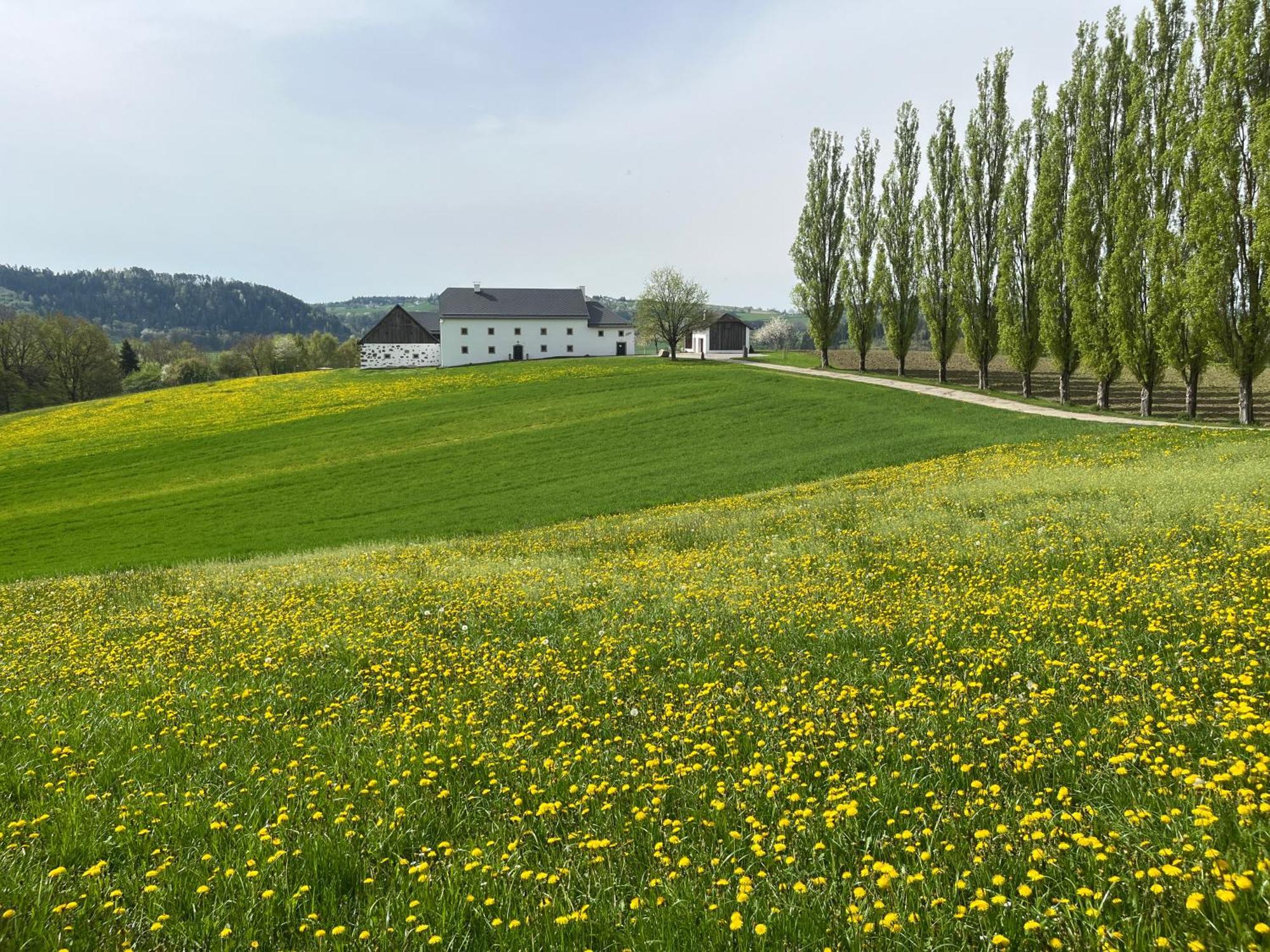 Obstgartl - Ferienhaus Muehlviertler Huegelland Villa Pregarten Buitenkant foto